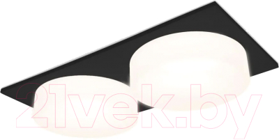 Точечный светильник Ambrella TN1319/2 SBK/FR