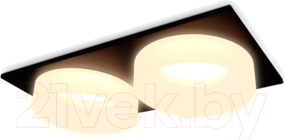 Точечный светильник Ambrella TN1319/2 SBK/FR