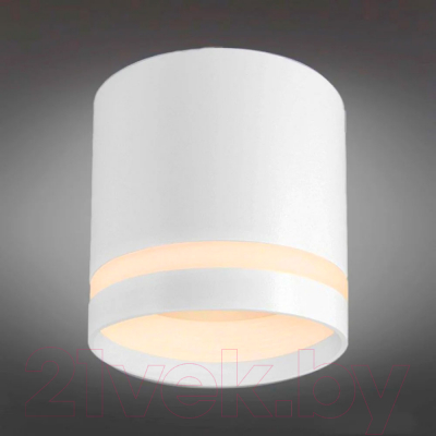 Точечный светильник Ambrella TN5371 WH