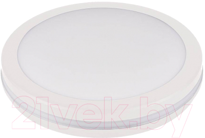 Светильник ЖКХ Leek LE LED RBL 03 40W / LE061100-0058 - фото