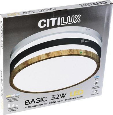 Потолочный светильник Citilux Бейсик CL738322V
