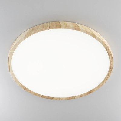 Потолочный светильник Citilux Бейсик CL738322V