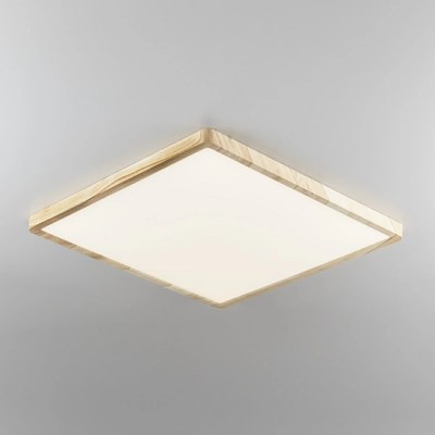 Потолочный светильник Citilux Бейсик CL738K502V