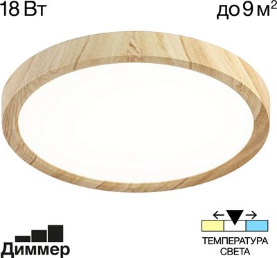 Потолочный светильник Citilux Бейсик CL738182V