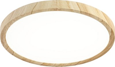 Потолочный светильник Citilux Бейсик CL738242V - фото