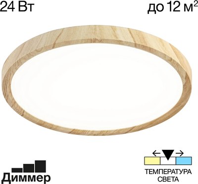 Потолочный светильник Citilux Бейсик CL738242V