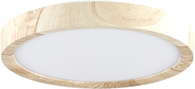 Потолочный светильник Citilux Бейсик CL738122N - фото