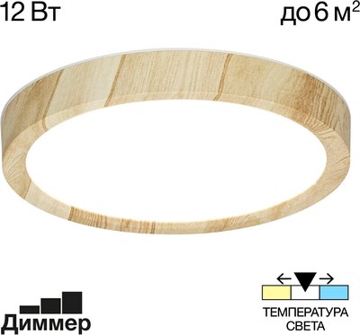 Потолочный светильник Citilux Бейсик CL738122N