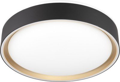 Потолочный светильник Citilux Boss CL751251G