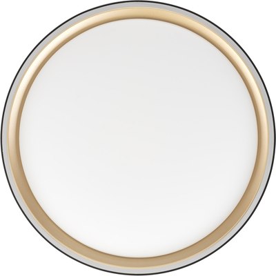 Потолочный светильник Citilux Boss CL751251G