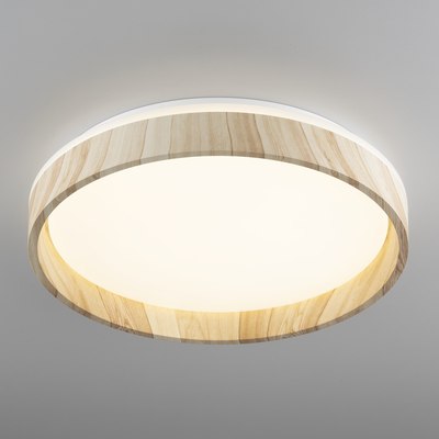 Потолочный светильник Citilux Enzo CL753352G - фото