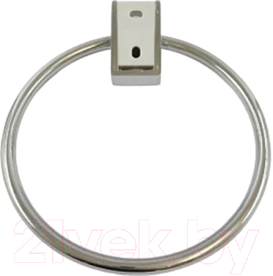 Держатель для полотенца Wisent WP2704