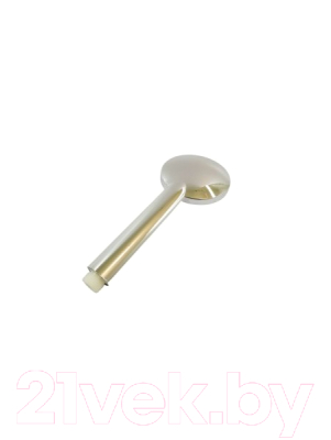 Лейка ручного душа Wisent WP067