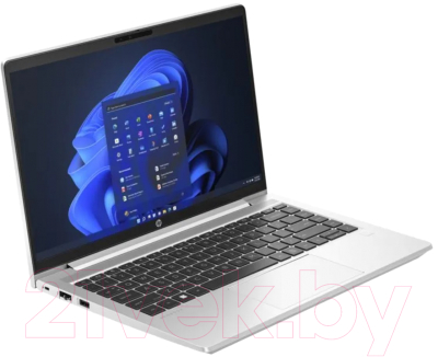 Ноутбук HP ProBook 440 G10 (816N0EA)