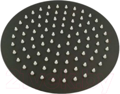 Лейка верхнего душа Wisent WP380-206 - фото