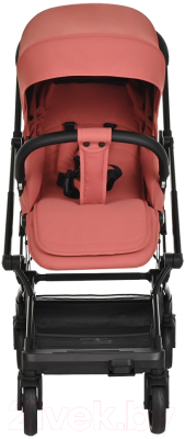 Детская прогулочная коляска Pituso Ameli / G2001 