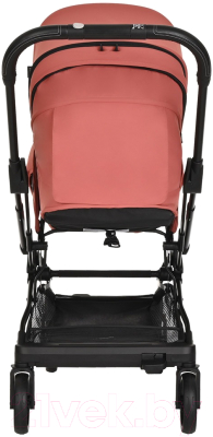 Детская прогулочная коляска Pituso Ameli / G2001 