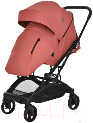 Детская прогулочная коляска Pituso Ameli / G2001 