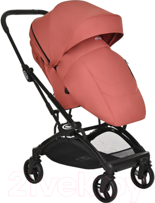 Детская прогулочная коляска Pituso Ameli / G2001 