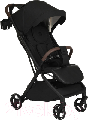 Детская прогулочная коляска Pituso Matrix / A19  - фото