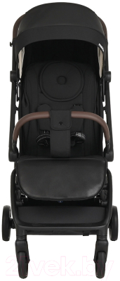Детская прогулочная коляска Pituso Matrix / A19 