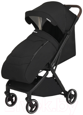 Детская прогулочная коляска Pituso Matrix / A19 