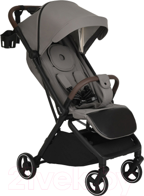 Детская прогулочная коляска Pituso Matrix / A19 - фото