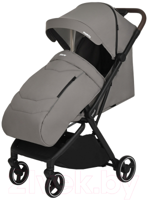 Детская прогулочная коляска Pituso Matrix / A19