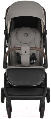 Детская прогулочная коляска Pituso Matrix / A19