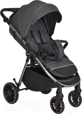 Детская прогулочная коляска Pituso Ruta / BD206 - фото