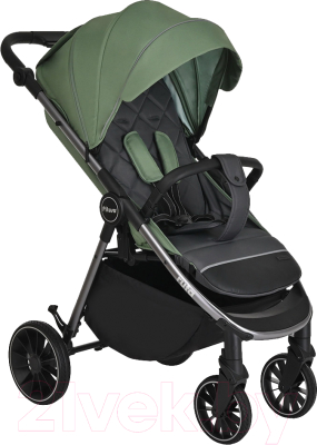 Детская прогулочная коляска Pituso Ruta / BD206 - фото