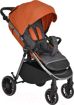 Детская прогулочная коляска Pituso Ruta / BD206 - фото