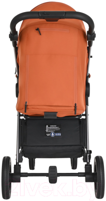 Детская прогулочная коляска Pituso Ruta / BD206