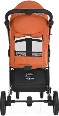 Детская прогулочная коляска Pituso Ruta / BD206