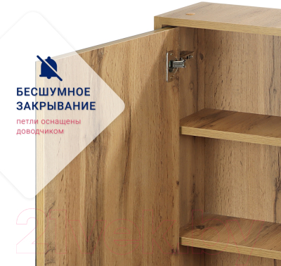 Шкаф с зеркалом для ванной Doratiz Лофт 50 / 2712.115