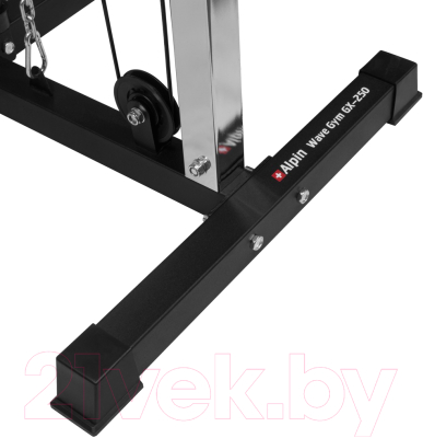 Силовой тренажер Alpin Wave GYM GX-250 