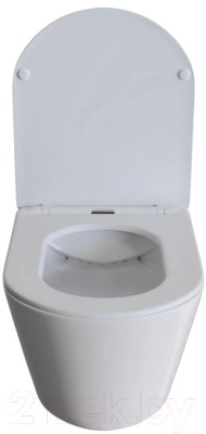 Унитаз подвесной с инсталляцией Wave Trend