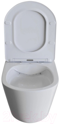 Унитаз подвесной с инсталляцией Wave Trend