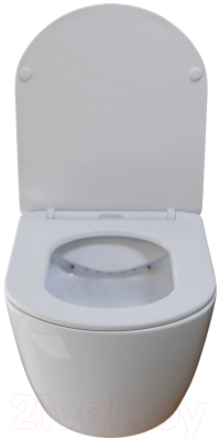 Унитаз подвесной с инсталляцией Wave Round / 554295