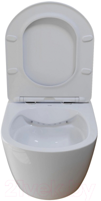 Унитаз подвесной с инсталляцией Wave Round / 554295