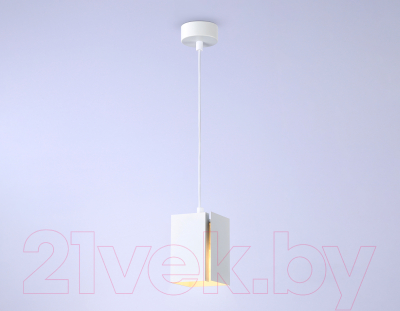 Потолочный светильник Ambrella Techno Spot TN5122 WH