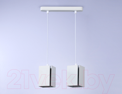 Потолочный светильник Ambrella Techno Spot TN5131/2 WH