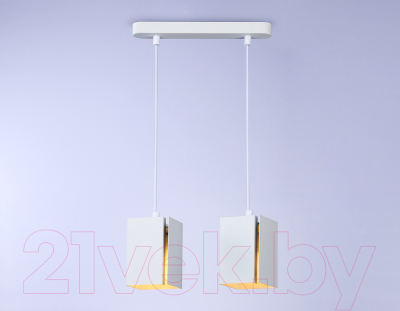 Потолочный светильник Ambrella Techno Spot TN5131/2 WH