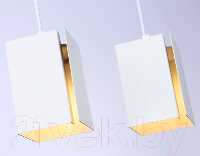 Потолочный светильник Ambrella Techno Spot TN5131/2 WH