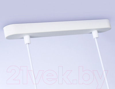 Потолочный светильник Ambrella Techno Spot TN5131/2 WH