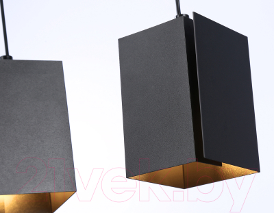 Потолочный светильник Ambrella Techno Spot TN5133/2 BK