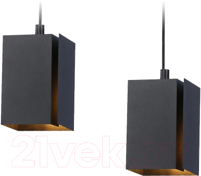 Потолочный светильник Ambrella Techno Spot TN5133/2 BK