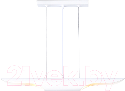 Потолочный светильник Ambrella Techno Spot TN5155/2 WH - фото