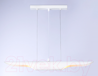 Потолочный светильник Ambrella Techno Spot TN5155/2 WH