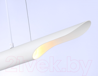 Потолочный светильник Ambrella Techno Spot TN5155/2 WH